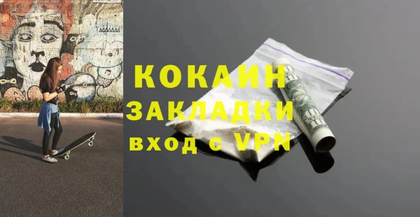 крисы Баксан