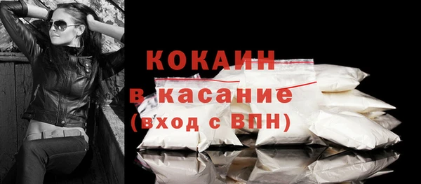крисы Баксан