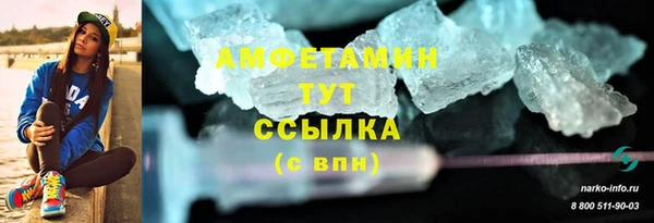 крисы Баксан