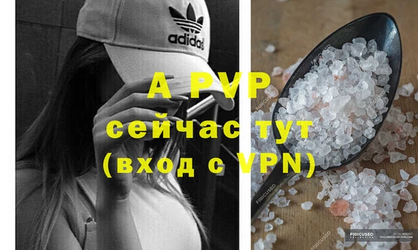 крисы Баксан