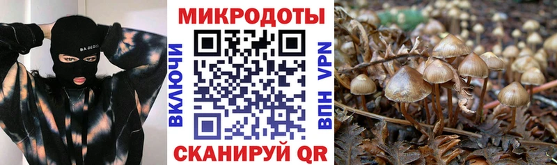 где можно купить   Печоры  мега ссылка  Галлюциногенные грибы мухоморы 
