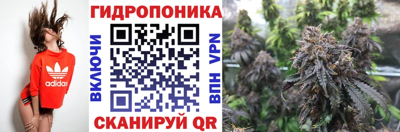 Конопля сатива  сайты даркнета клад  Печоры 